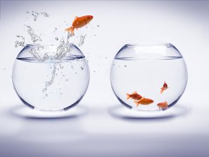 身份认证技术选型决策树